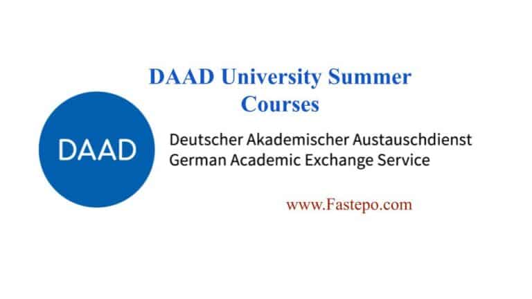 DAAD University Summer Courses