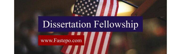 Dissertation Fellowship Program in the USA