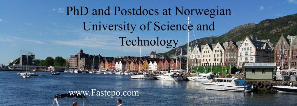 Funded PhD and Postdoc Vacancies at Norwegian University of Science and  Technology (NTNU)
