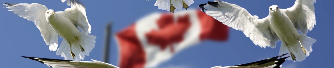 In this post, our professional experts have listed all available Academic Positions at different universities in Canada.
