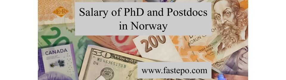 You can read about the salary of PhD students and salary of Postdocs in Norway. That includes the before-tax and after-tax salary.