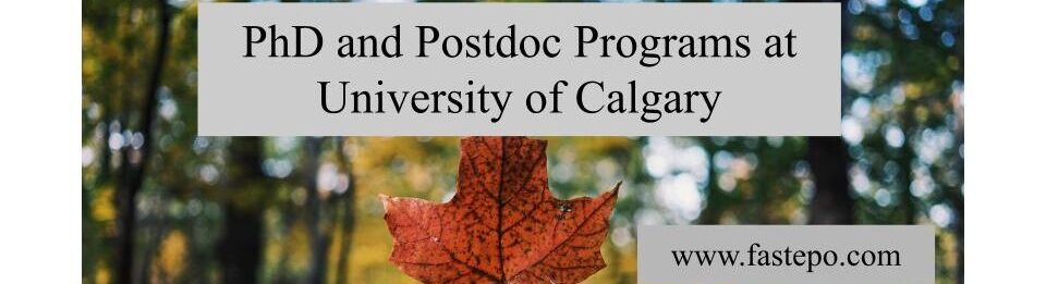 phd jobs calgary