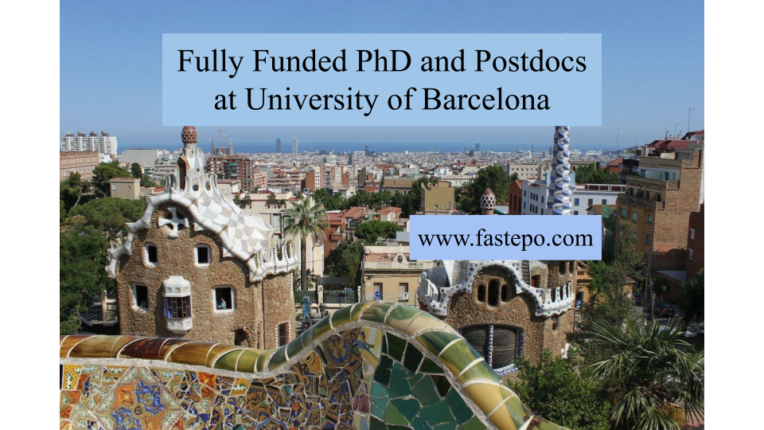 university of barcelona phd programs