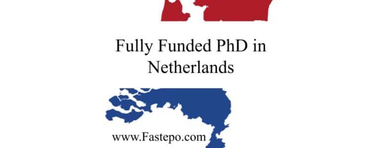 phd requirements netherlands