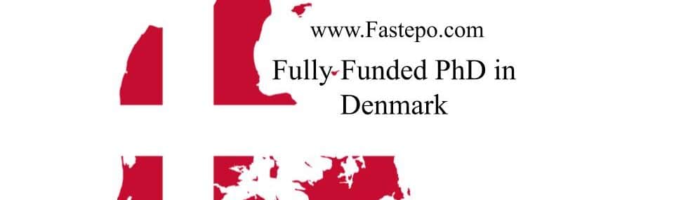 On this page, we have listed all open fully funded PhD Positions at the different universities in Denmark.
