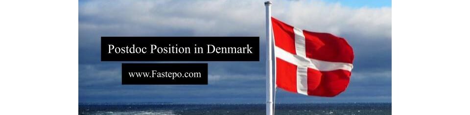 Our Team has listed available postdoc positions at different universities in Denmark in this post. It will be updated regularly.