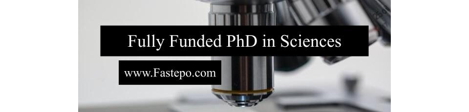 In this post, our Fastepo Team provide you with some of the essential information about PhD in the field of Sciences.