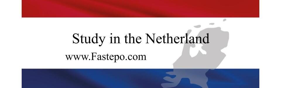 In this post, our Fastepo Team provided you the general information of studying in the Netherlands and its top universities.