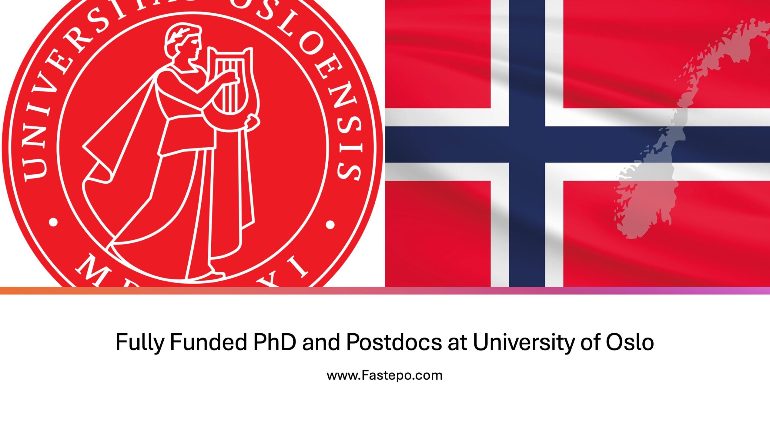 phd finance oslo